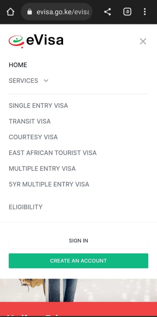 How To Apply For Kenyan EVisa Online Wooleys Words   Evisa Page Screenshot E1684875203677 